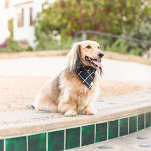 Load image into Gallery viewer, Windowpane Check Black Dog Bandana (Reversible)（Custom printed fabric）
