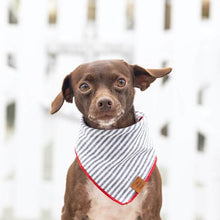 Load image into Gallery viewer, Charcoal Stripe Dog Bandana（Custom printed fabric）
