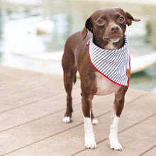 Load image into Gallery viewer, Charcoal Stripe Dog Bandana（Custom printed fabric）
