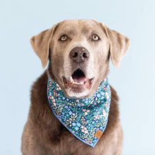 Load image into Gallery viewer, Primavera Dog Bandana（Custom printed fabric）
