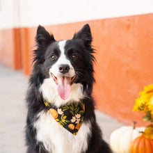 Load image into Gallery viewer, Valencia Midnight Dog Bandana（Custom printed fabric）
